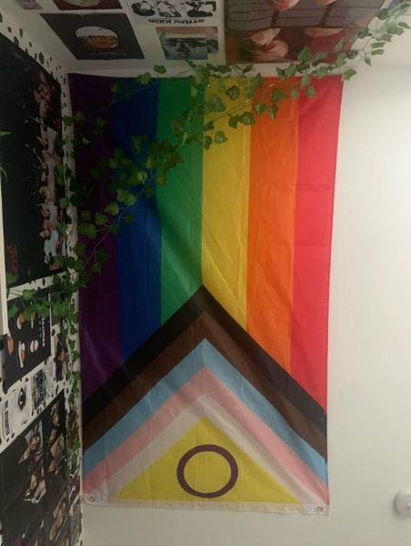Флаг Progress Pride Flag LGBT 1978-2018 интерсекс-инклюзивный радужный лесби ЛГБТ гордости прогресса ЛГБТКИА расширенная версия 8187-5 фото