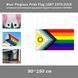 Флаг Progress Pride Flag LGBT 1978-2018 интерсекс-инклюзивный радужный лесби ЛГБТ гордости прогресса ЛГБТКИА расширенная версия 8187-5 фото 1