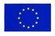 Прапор Євросоюза EU European Europe Union 1955 Ради Європи (150*90 см) приватних і музейних колекцій, експозицій, науково-дослідної та викладачської діяльності 8188 фото 2