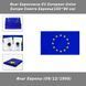 Прапор Євросоюза EU European Europe Union 1955 Ради Європи (150*90 см) приватних і музейних колекцій, експозицій, науково-дослідної та викладачської діяльності 8188 фото 1