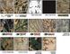 Лента TAN NATO бежевая Army Military CAMOUFLAGE тактическая камуфляжная самоклейка для маскировки 3784 фото 2