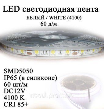 LED-стрічка 5050 IP65 у силіконі (60 шт./м) БІЛИЙ WHITE (DC12V) вологозахищена 6430 фото