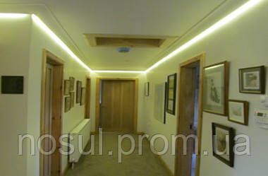 LED-стрічка 5050 IP65 у силіконі (60 шт./м) БІЛИЙ WHITE (DC12V) вологозахищена 6430 фото