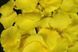Лепестки роз искусственные 200 шт. Цвет желтый. Украшение праздника, свадьбы, торжества 398 фото 1
