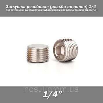 Заглушка різьбова (різьблення зовнішня) 1/4 під внутрішній шестигранник трубна пробка без фланця (фітинг отвору) 5499 фото