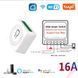 Tuya AP-SMT-Breaker01-1CH мініреле вимикач розумна розетка 16A Wi-Fi (802.11 b/g/n) Smart Socket Smart Plug 7988 фото 2
