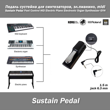 Педаль сустейну для синтезаторів серій Roland Korg Yamaha Casio Sustain Pedal ел.Foot Control HID Electric Piano Electronic Organ 7379 фото