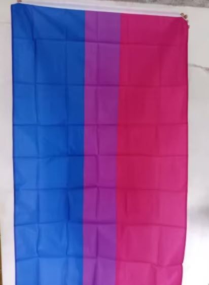 Прапор бісувальної спільноти би гордості Flag LGBT (150*90 см) Майкл Пейдж 1998 ЛГБТ-прайд для декору, приватних і музейних колекцій, експозицій, науково-дослідної та викладачської д 8187 фото