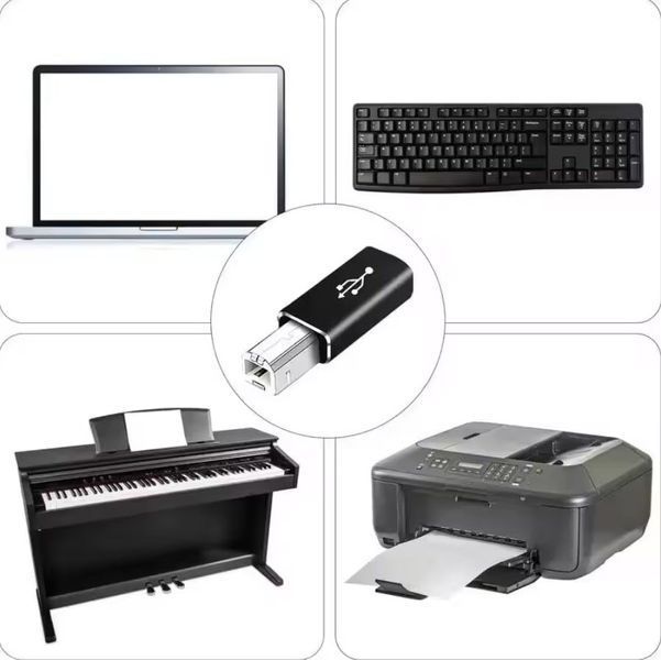 Перехідник USB B (тато) midi - USB Type-C (мама) універсальний адаптер на квадратний роз'єм під принтер 8209 фото