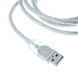 BMW INPA K+CAN USB діагностика БМВ на дилерському рівні (1994 &mdash; 2017)&nbsp;NCS Expert&nbsp;EDIABAS&nbsp;NFS&nbsp;Rheingold (x32, x 2228 фото 4