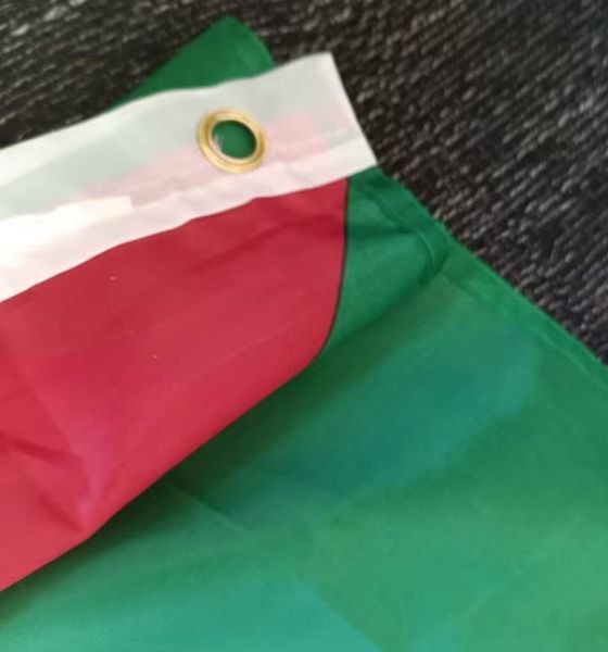 Флаг Государства Палестина دولة فلسطين (150*90 см) полиэстер люверсы двойная прострочка по периметру&nbsp; Флаг Палестины, размером 90x150 см для частных и музейных коллекций, экспозиций, научно-исследовательской и преподавательской деятельности (в строгом соо 8159 фото