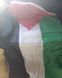 Флаг Государства Палестина دولة فلسطين (150*90 см) полиэстер люверсы двойная прострочка по периметру&nbsp; Флаг Палестины, размером 90x150 см для частных и музейных коллекций, экспозиций, научно-исследовательской и преподавательской деятельности (в строгом соо 8159 фото 3
