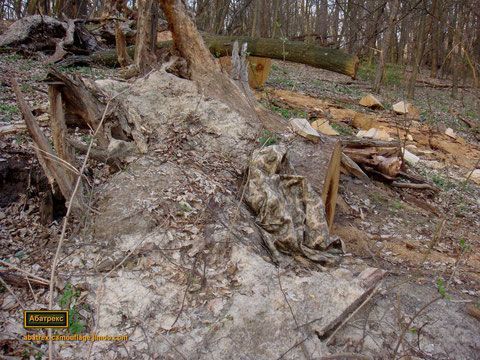 Камуфляж гірський "демісезонний ліс" листя багатобарв стрічка бинт самоклейка (1949) 5м маскувальна Miltec Sturm C 4343 фото