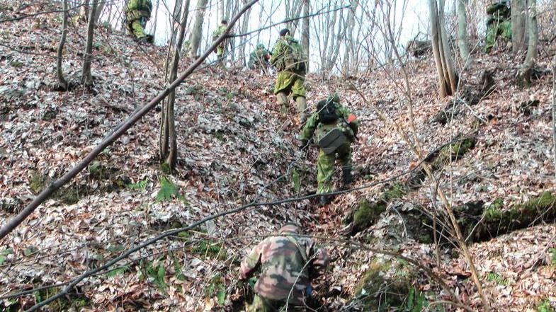 Камуфляж гірський "демісезонний ліс" листя багатобарв стрічка бинт самоклейка (1949) 5м маскувальна Miltec Sturm C 4343 фото