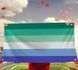 Прапор гордості гомосексуальність LGBT Gay Men Pride (150х100 см) для декору, приватних і музейних колекцій, експозицій, науково-дослідної та викладачської діяльності, подвійна строчка Прапор, що представляє сегмент (частина) ЛГБТ спільноти.  Виготовлений 8187-2 фото 5