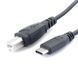 Кабель для подключения телефона/компьютера к принтеру USB type-C (папа) - USB B (мама) 5979 фото 2