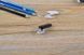 M165 блютуз гарнітура Bluetooth Stereo Earphone Microphone 3892 фото 3